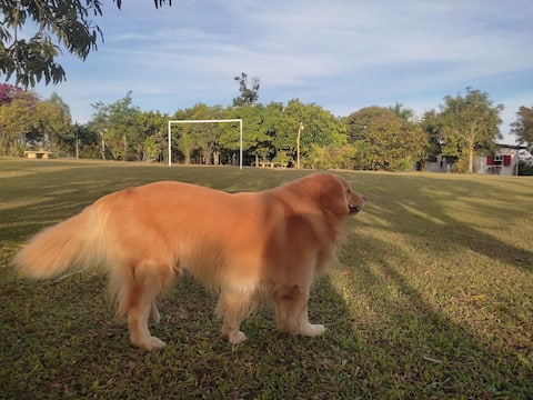 Farm with Pool and Orchard. Your Pet Happy