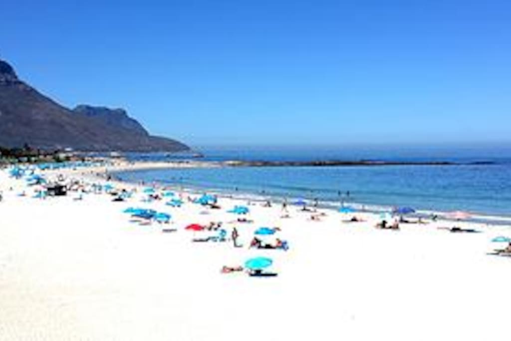 This is 40m from your front door, just beyond the palm trees at the bottom of your garden
