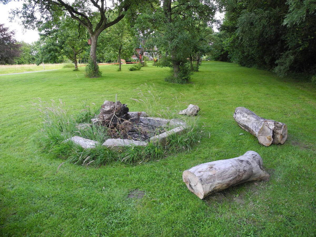 A circular fire pit, surrounded by low grass and a ring of logs, is situated in a spacious green area. Tall grass emerges from the inner edge of the fire pit. The setting is bordered by trees and open lawn, providing a natural and serene ambiance.