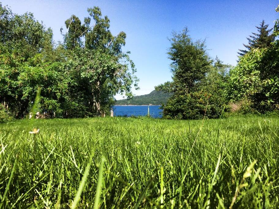 Lawn with the fjord