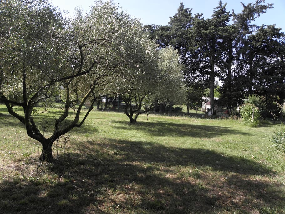 Vue de la roulotte