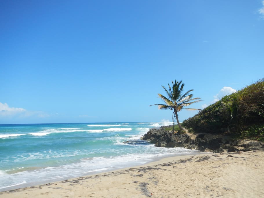 Encuentro beach-swimming area