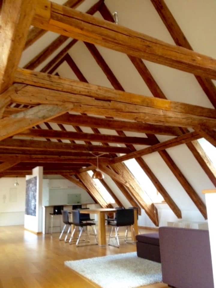 Lux. Guestsuite (137 Qm) In Best Part Of Old Town - Landshut