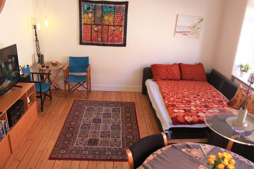 Room with sleeping couch and dinning table