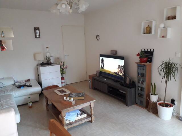 Airbnb Marseille Provence Airport Mrs Holiday Rentals