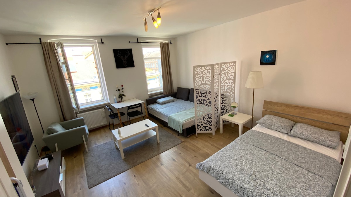 The living space features a spacious area with natural light streaming through two large windows. A double bed is complemented by a single bed and a light green armchair. A decorative room divider separates the sleeping areas, and a flat-screen TV is mounted on the wall.