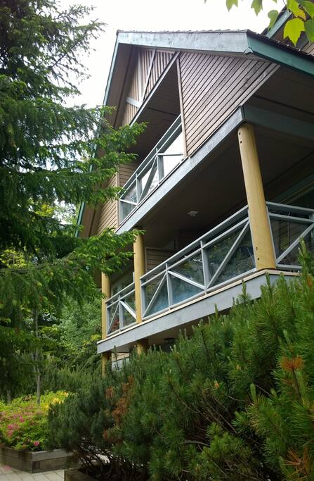 Exterior view of the unit (summer)