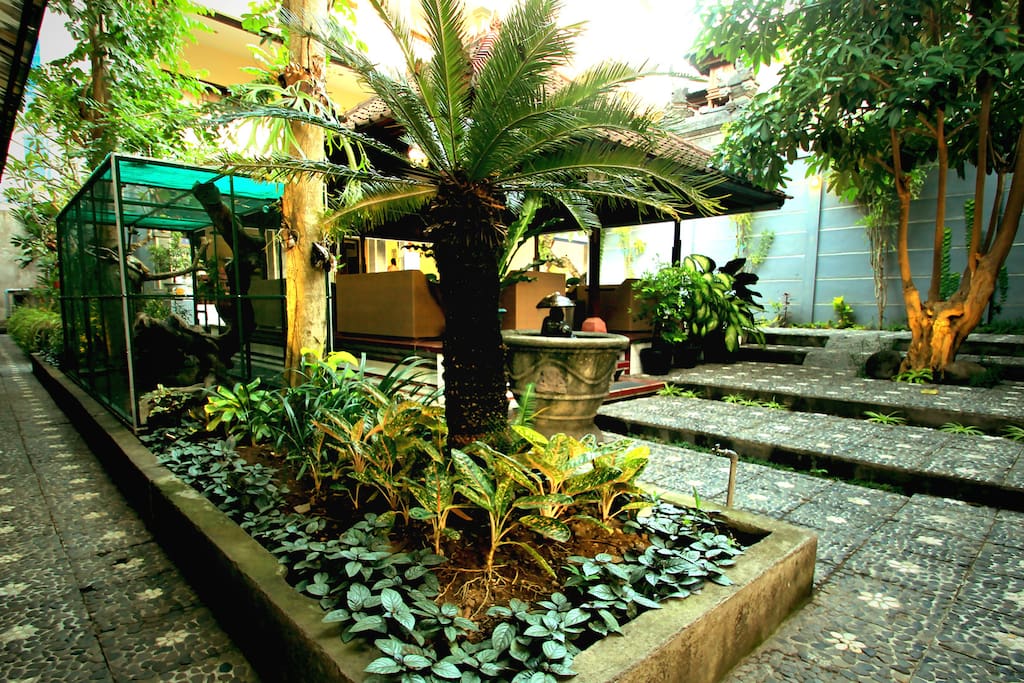 Garden view