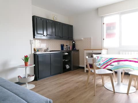 Studio Chaleureux 4 personnes Rénové en 2020