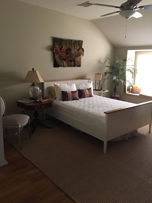Queen bed facing TV.