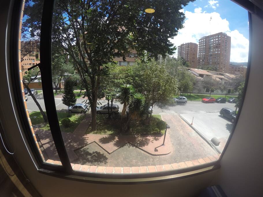 View from room window