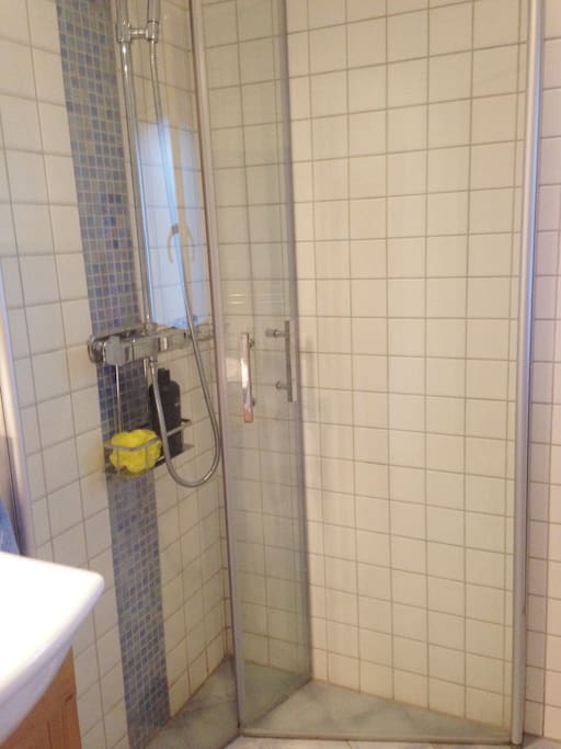 Det ena badrummet