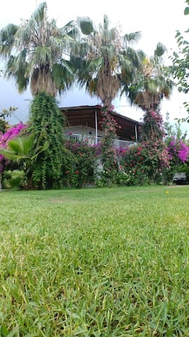 Villa Zumrut in Çıralı