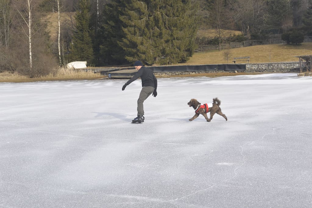 Ganzer See zum eislaufen