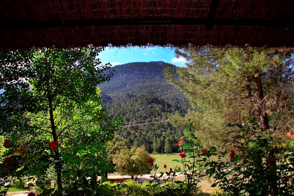 Vistas desde el porche del Parque Natural de los Calares
