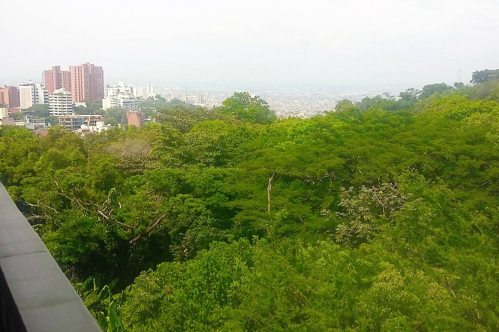 Balcón del apartamento con vista a reserva natural