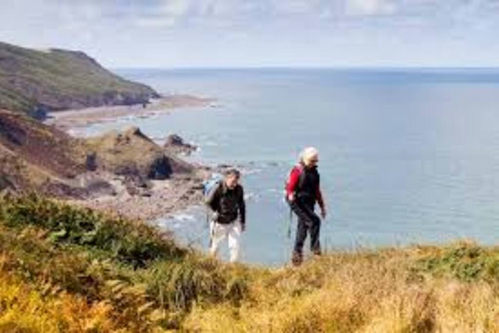 Part of the local cliff path
