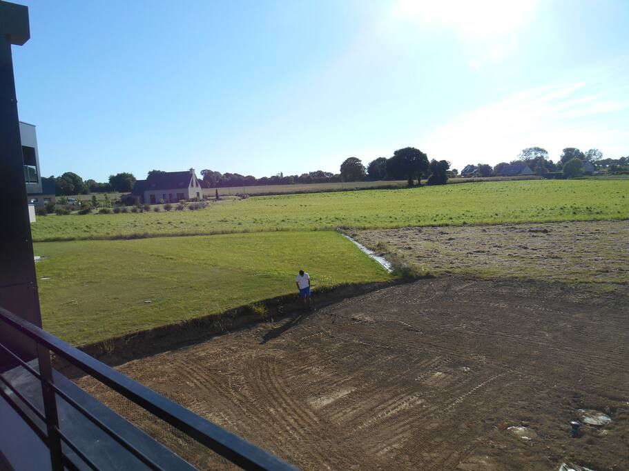 Depuis la terrasse (l'herbe est verte)