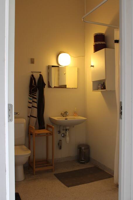 Bathroom located in the hallway