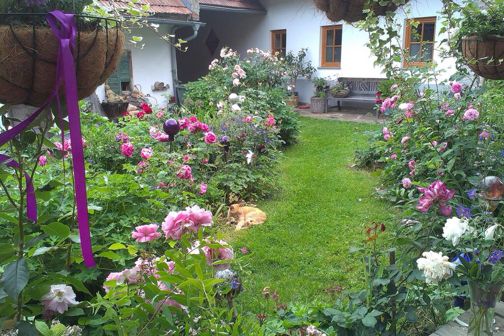 Blick von der Terrasse in den Innenhof