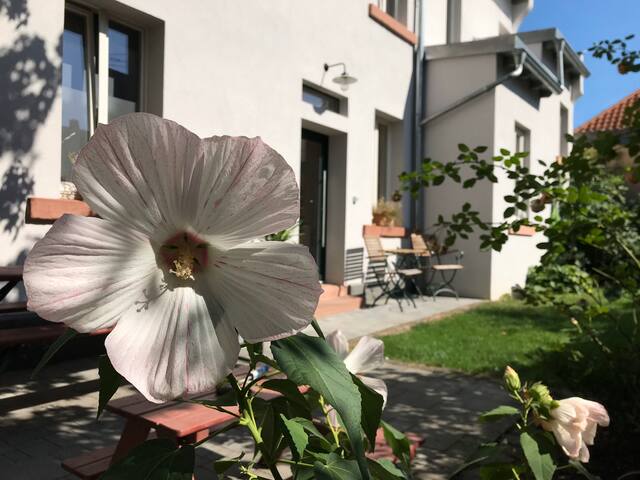 Carports Kaufen Nahe Darmstadt Gross Gerau Und Bensheim