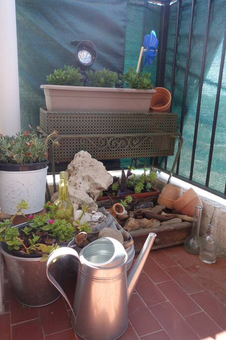 PETIT JARDIN MEDITERRANEEN
