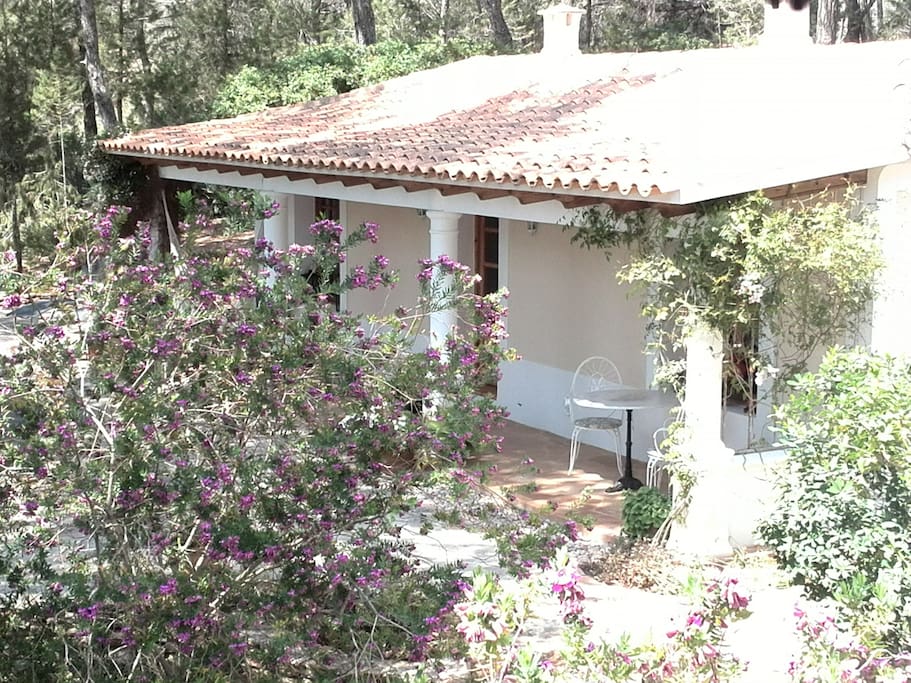 Attractive Guest House in Ibiza - Houses for Rent in Sant Miquel de Balansat, Balearic Islands ...