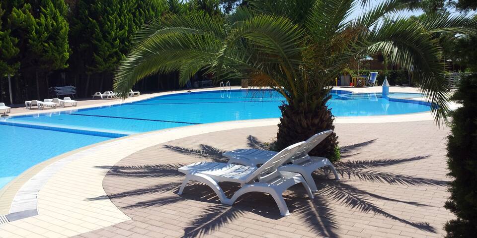 Listing in Viareggio