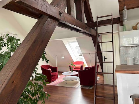 Successful Airbnb property: attic apartment near city center in Bremen
