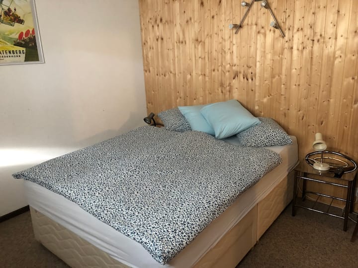 ห้องนอน 1 ห้องใต้ดินพร้อมเตียงบ็อกซ์สปริงและทีวีหน้าต่างและทางออกฉุกเฉิน