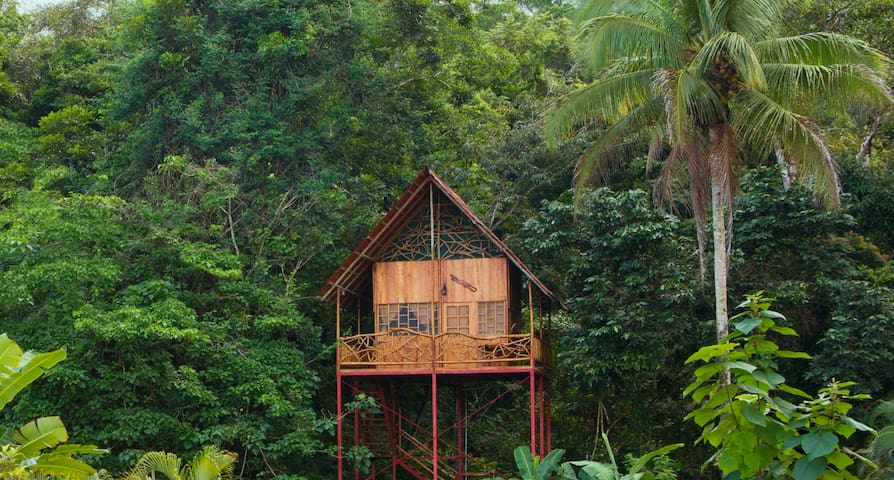 Top Costa Rica Tree House Rainforest Tree House w Hot Springs Treehouses for Rent 