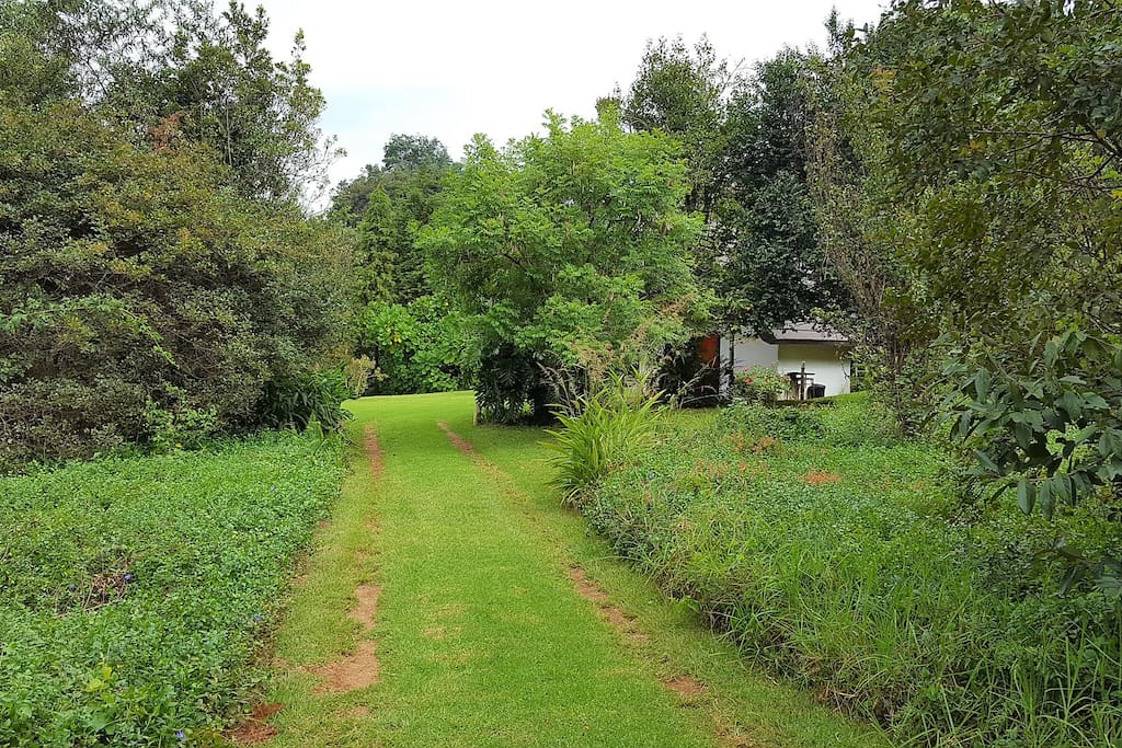 Access road