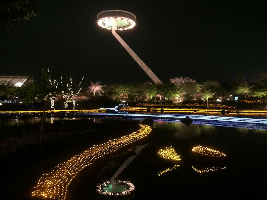 なばなの里まで車で5分。イルミネーションはとても綺麗です。 5 minutes by car to Nabanano Sato, . The illuminations are very beautiful.