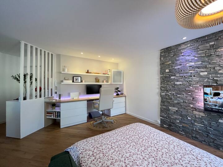 Locations de vacances à SaintJulienenGenevois Airbnb