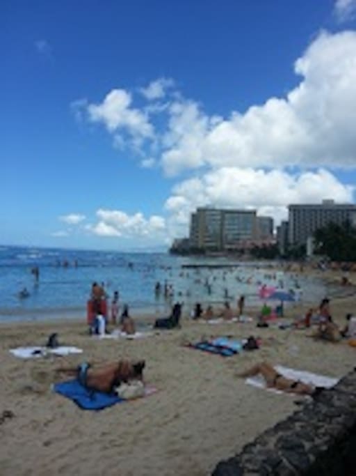 Waikiki Beach View