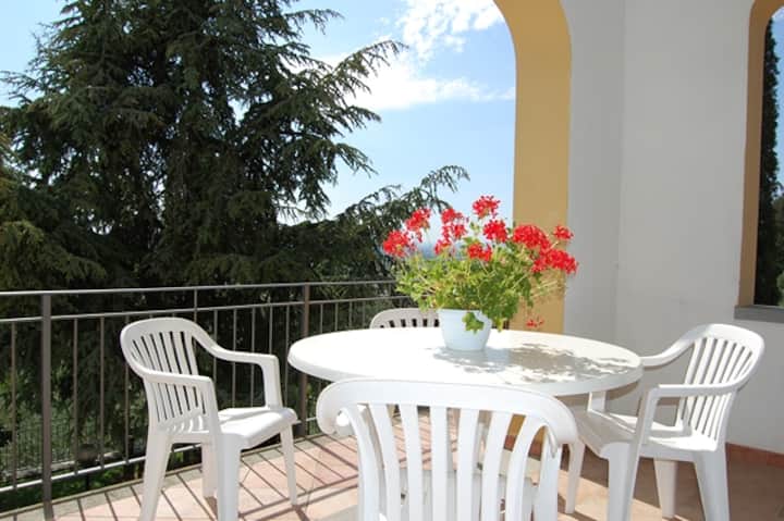 Virgilio - La Maestà Tuscan Sun - Castiglion Fiorentino