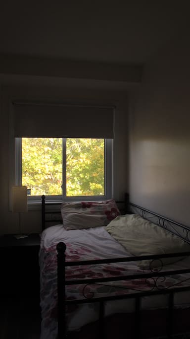 nice view through window