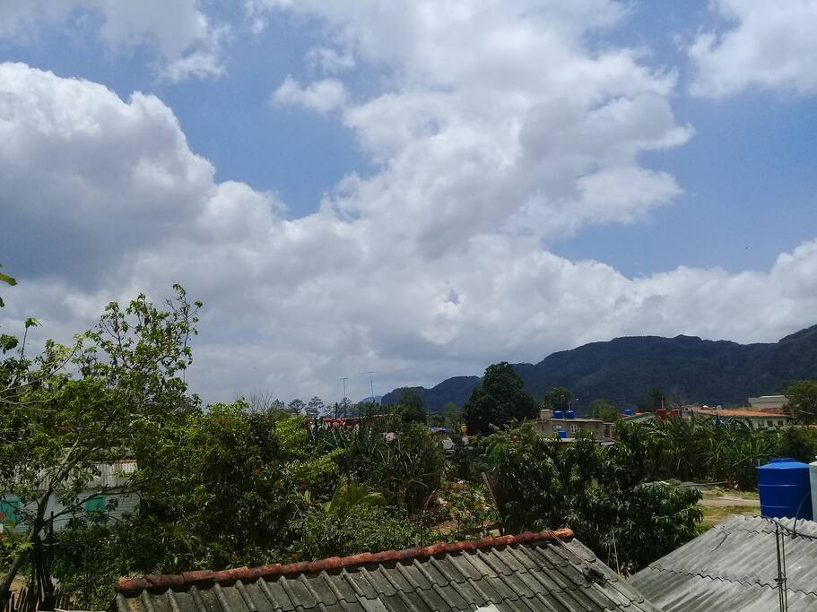 Vista