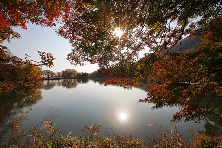 A serene lake scene is framed by colorful autumn foliage. The sun's rays reflect gently on the water's surface, creating a warm ambiance. The surrounding landscape displays a blend of trees, exhibiting hues of red and orange, enhancing the tranquil environment.