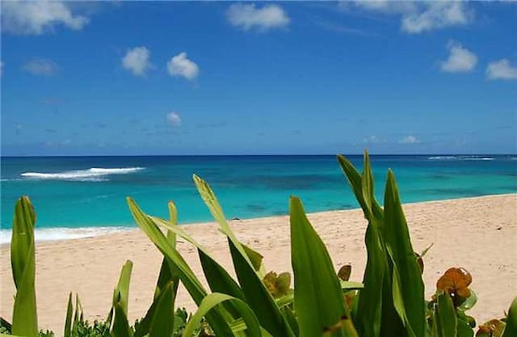 Sunset Beach House gallery image 2