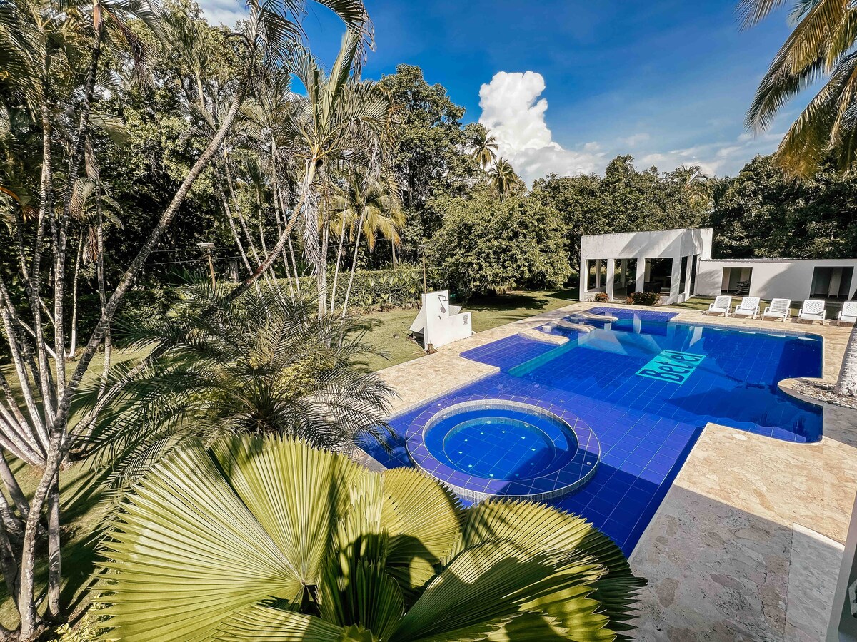 An expansive outdoor area features a large blue swimming pool with a submerged spa. Surrounding the pool are sun loungers positioned on a stone deck, framed by lush greenery and tall palm trees, enhancing the sense of privacy and relaxation.