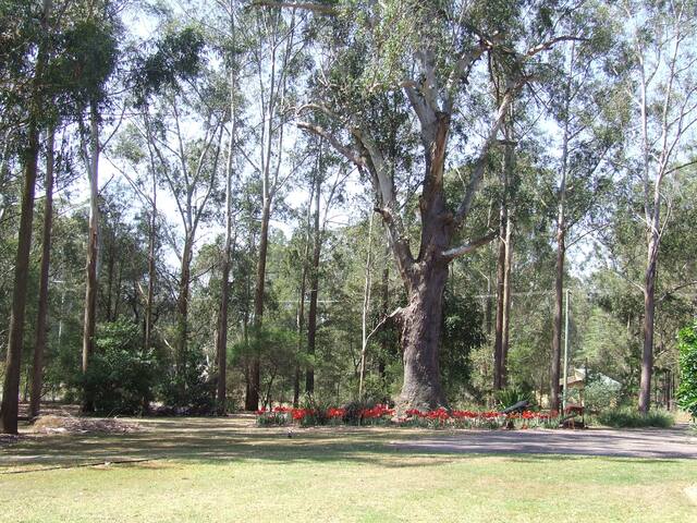 Studio apartment in peaceful setting