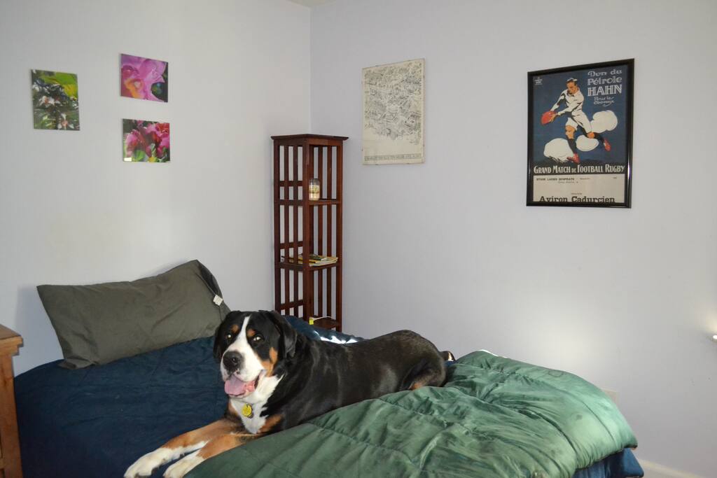 The bedroom