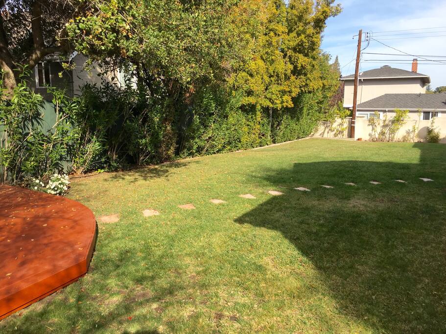 Backyard