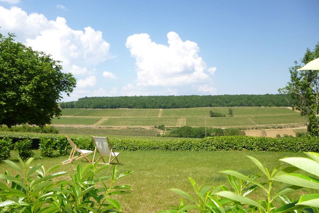 Les vignes de Bourgogne à perte de vue !