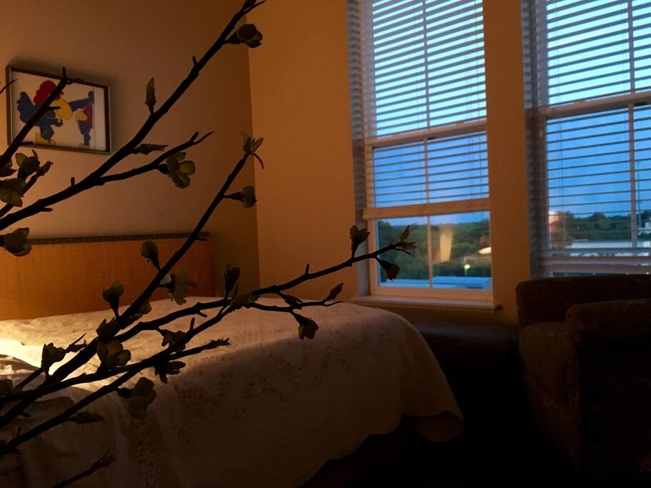 Comfy cozy queen suite