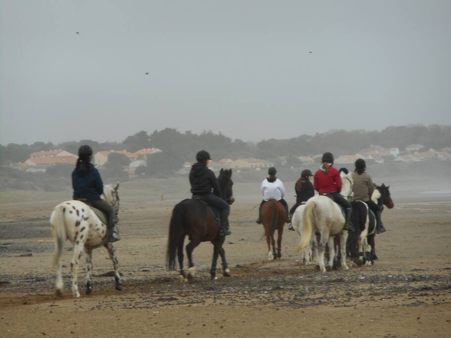 Découvrir la rando ,l’équitation,la pêche ,char à voile ...... ,