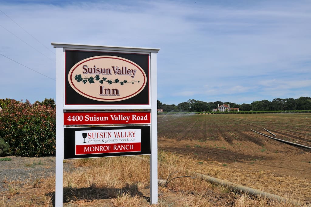 Seasonal vegetables grown at the ranch are available at Larry's Produce.