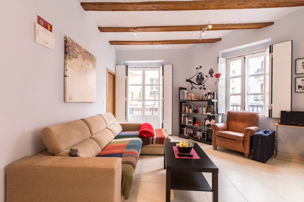 Salon y sofa Cama