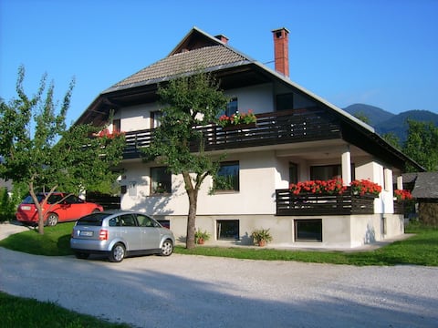 Apartments Žnidar - A1